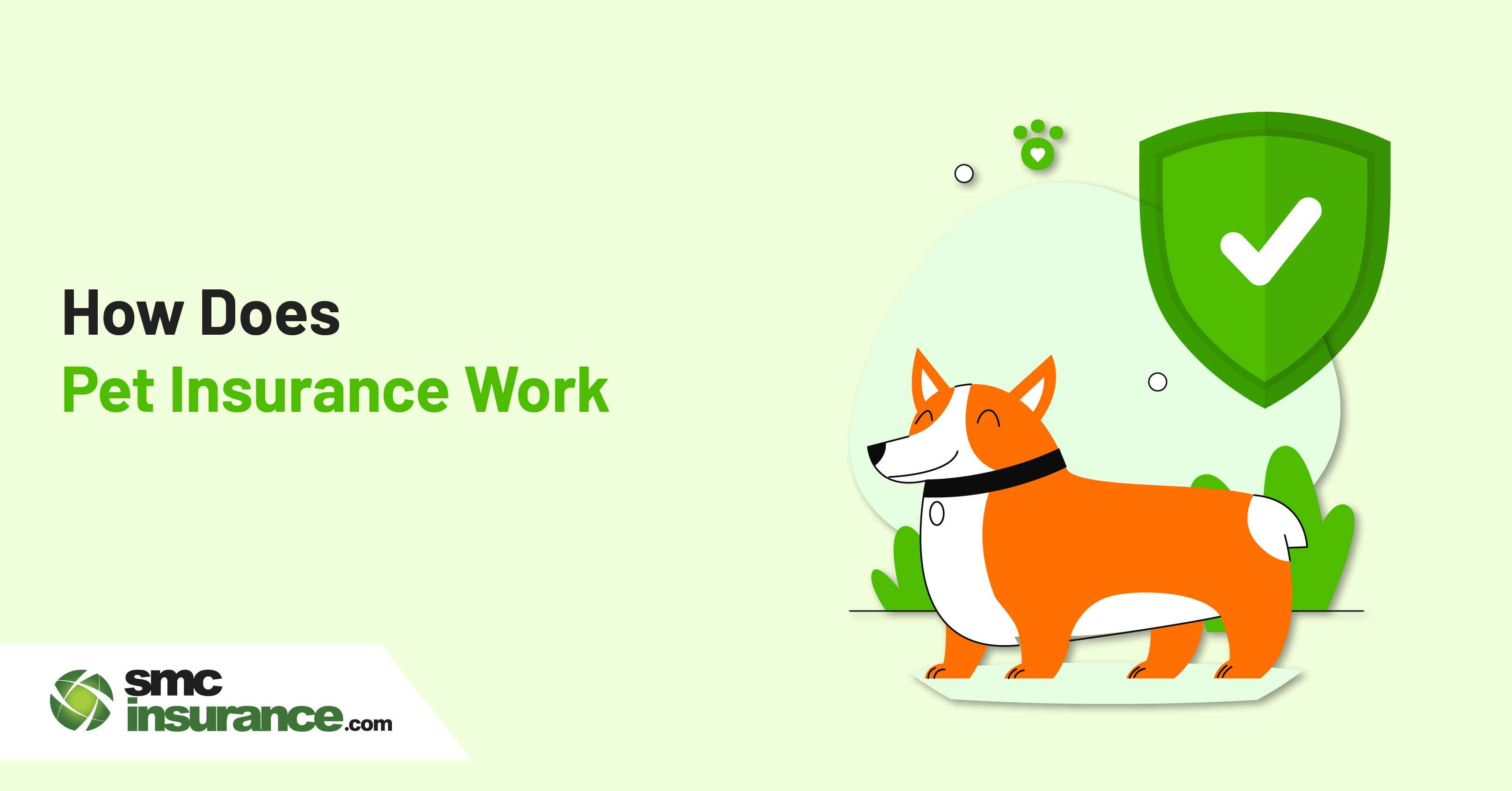 How Does Pet Insurance Work?