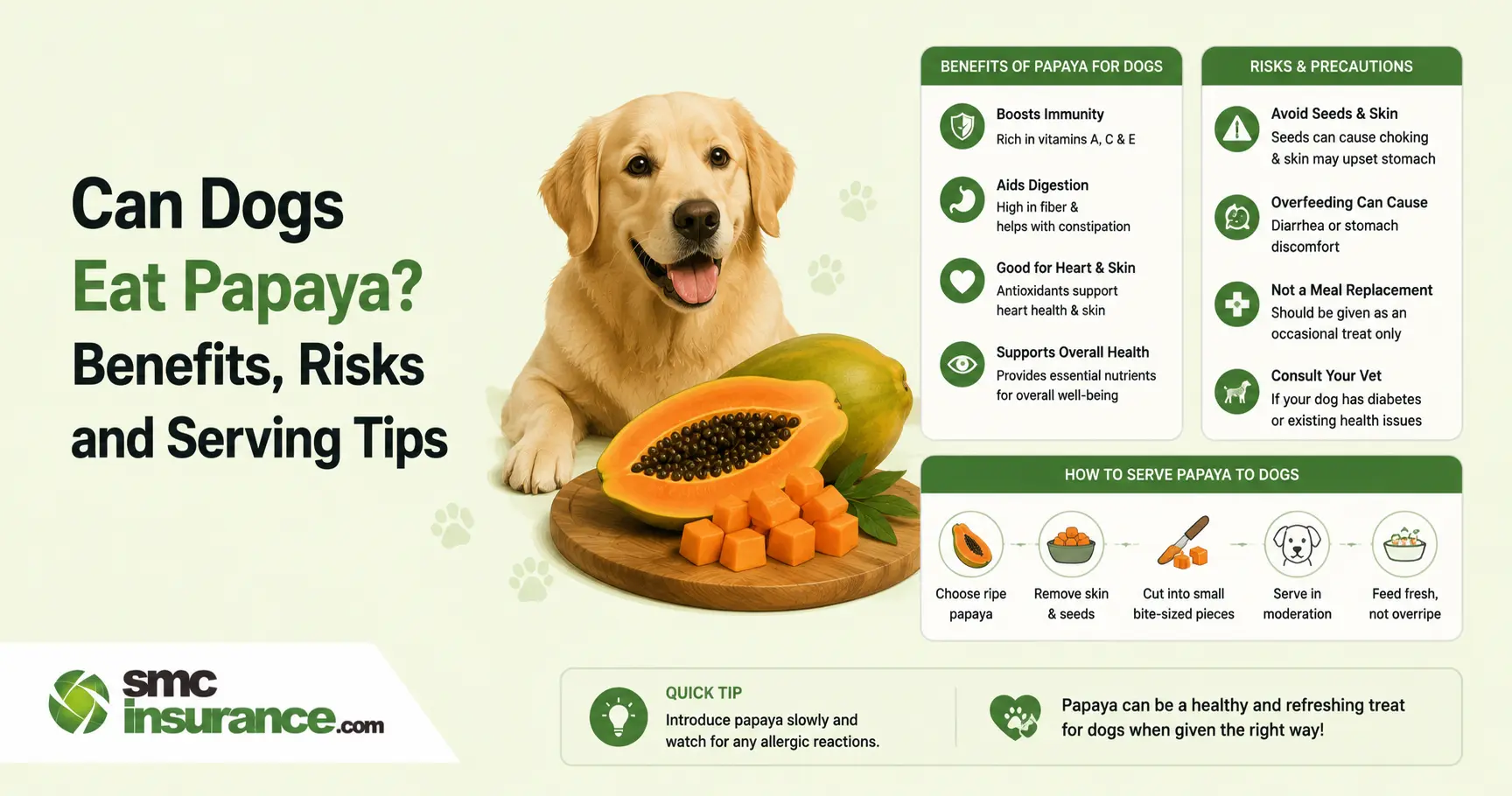 Can Dogs Eat Papaya? Benefits, Risks and Serving Tips