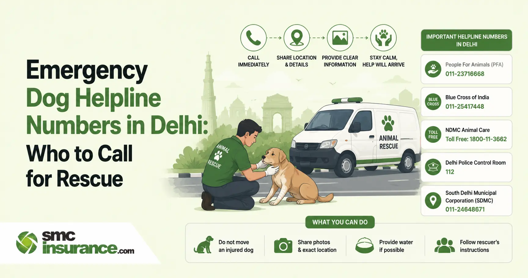 Emergency Dog Helpline Numbers in Delhi: Who to Call for Rescue