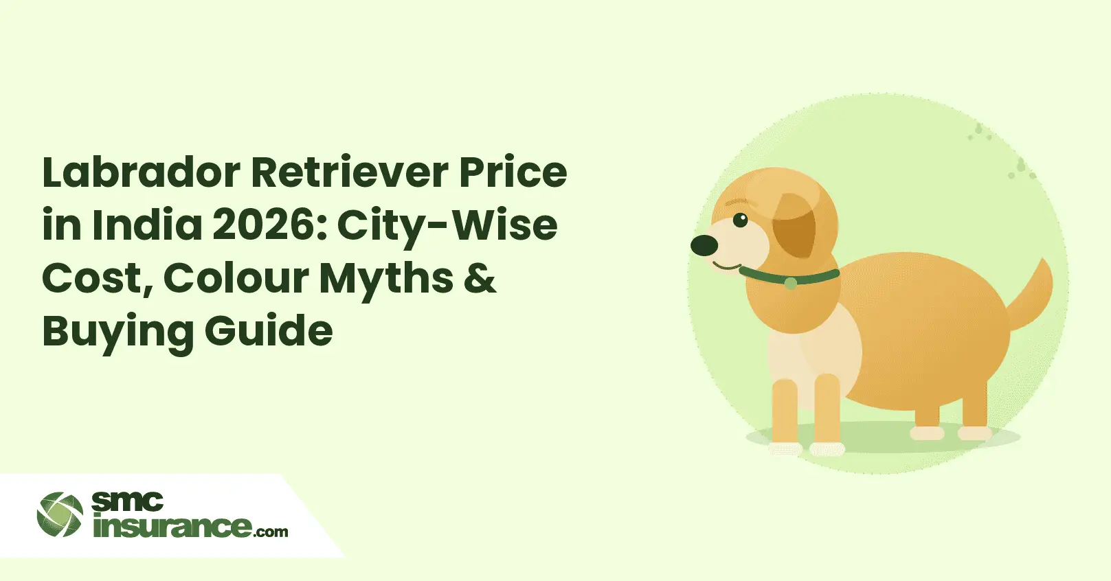 Labrador Retriever Price in India 2026: City-Wise Cost, Colour Myths & Buying Guide