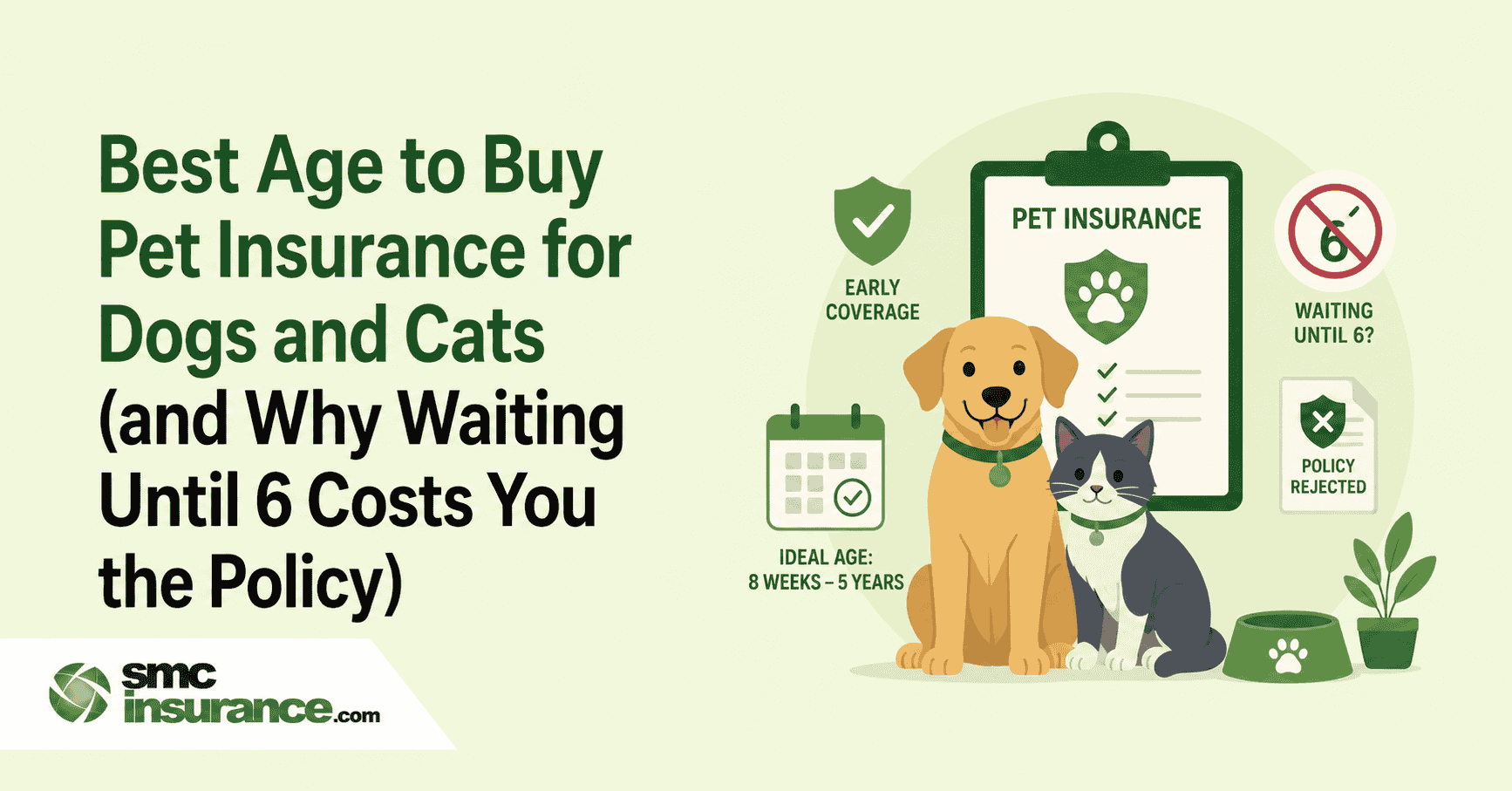 Best Age to Buy Pet Insurance for Dogs and Cats (and Why Waiting Until 6 Costs You the Policy)